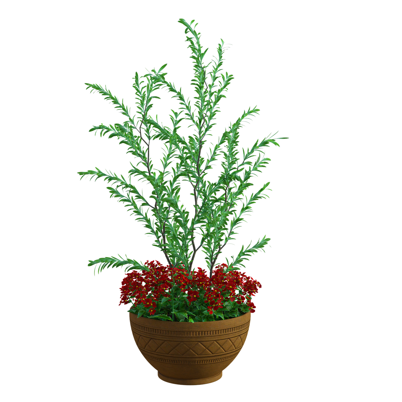 식물 구매 관련 사진