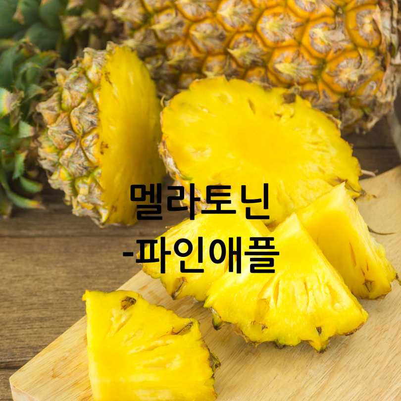 멜라토닌 많은 음식 10가지