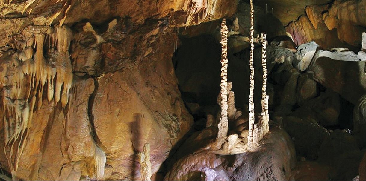 삼척 대금굴 예약 방법
