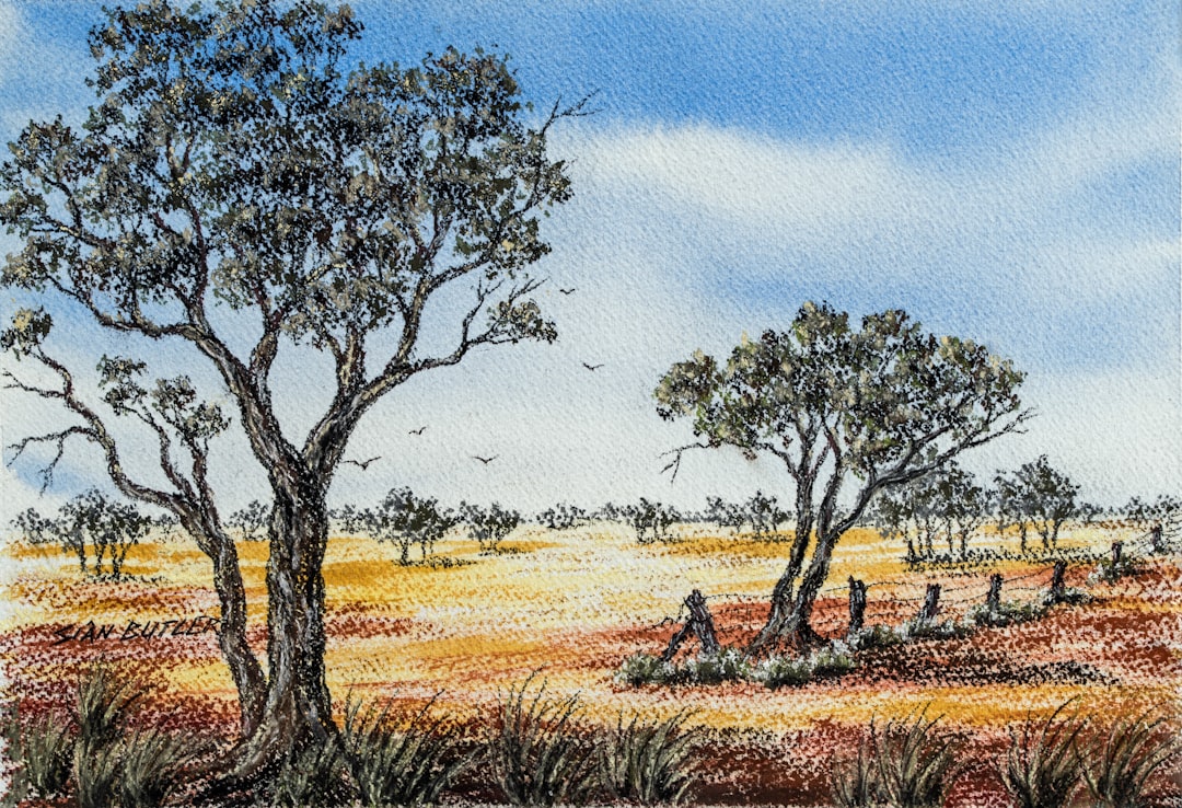 Outback