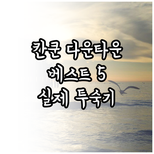 멕시코 칸쿤 다운타운 호텔 베스트 5..