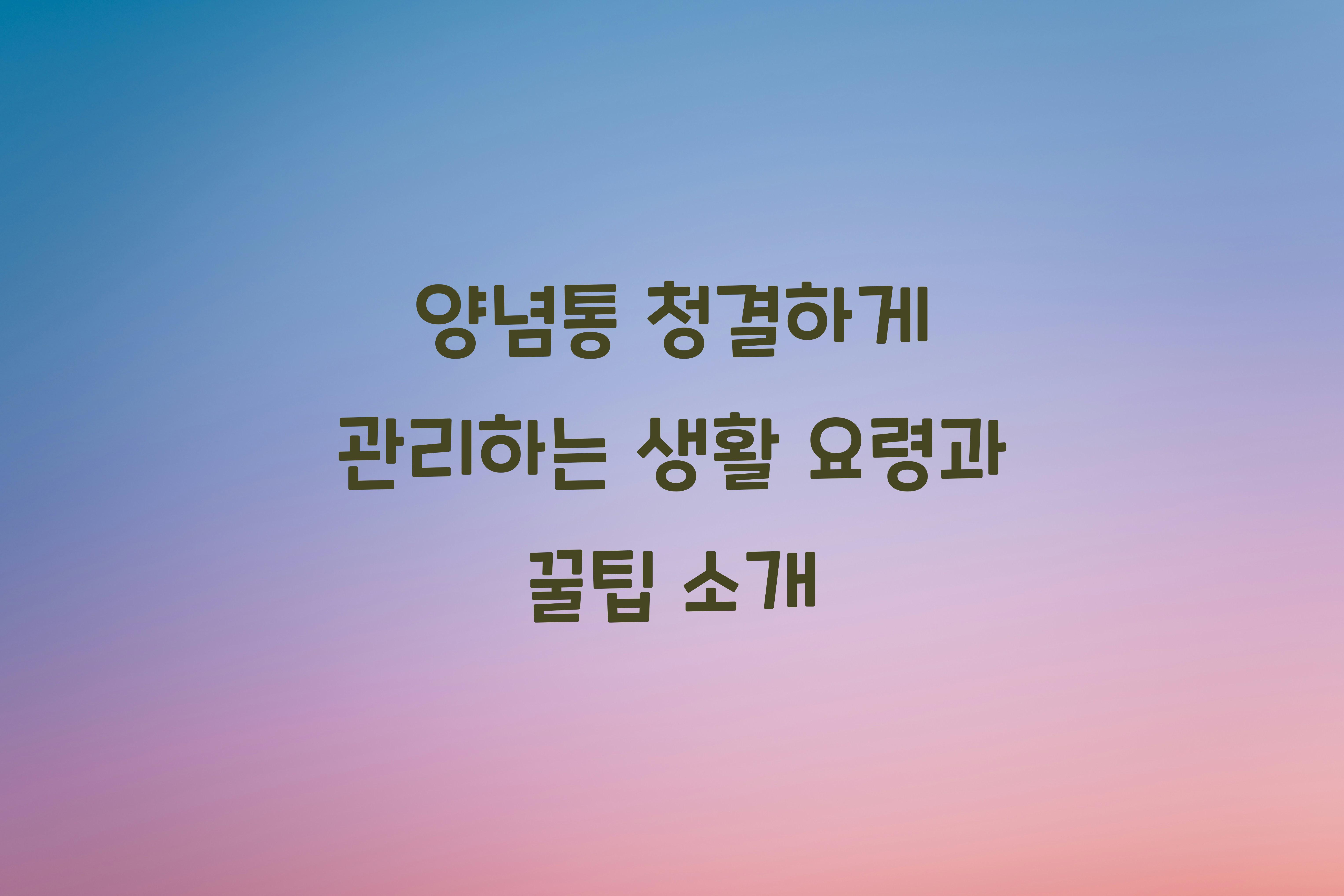 양념통 청결하게 관리하는 생활 요령