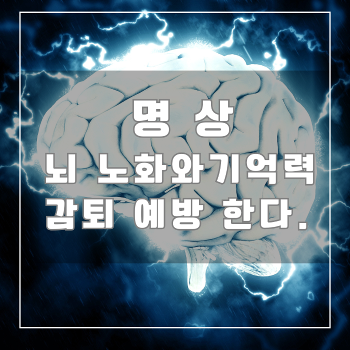 명상 뇌노화와 기억력감퇴 예방한다.