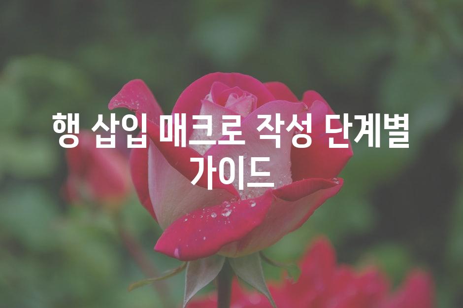 행 삽입 매크로 작성 단계별 가이드