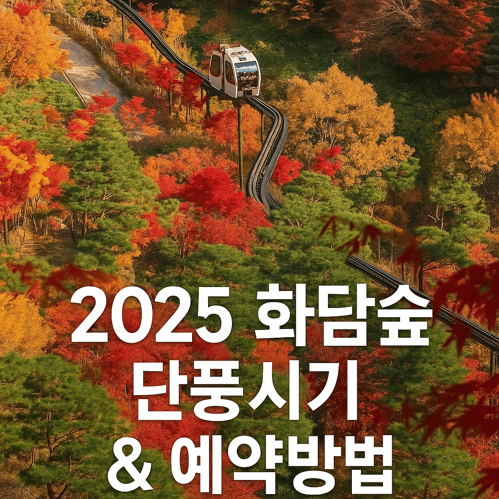 2025 화담숲 단풍시기&amp; 모노레일 예약 꿀팁, 맛집 사진