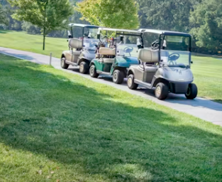 중고 골프카트카 가격 장점