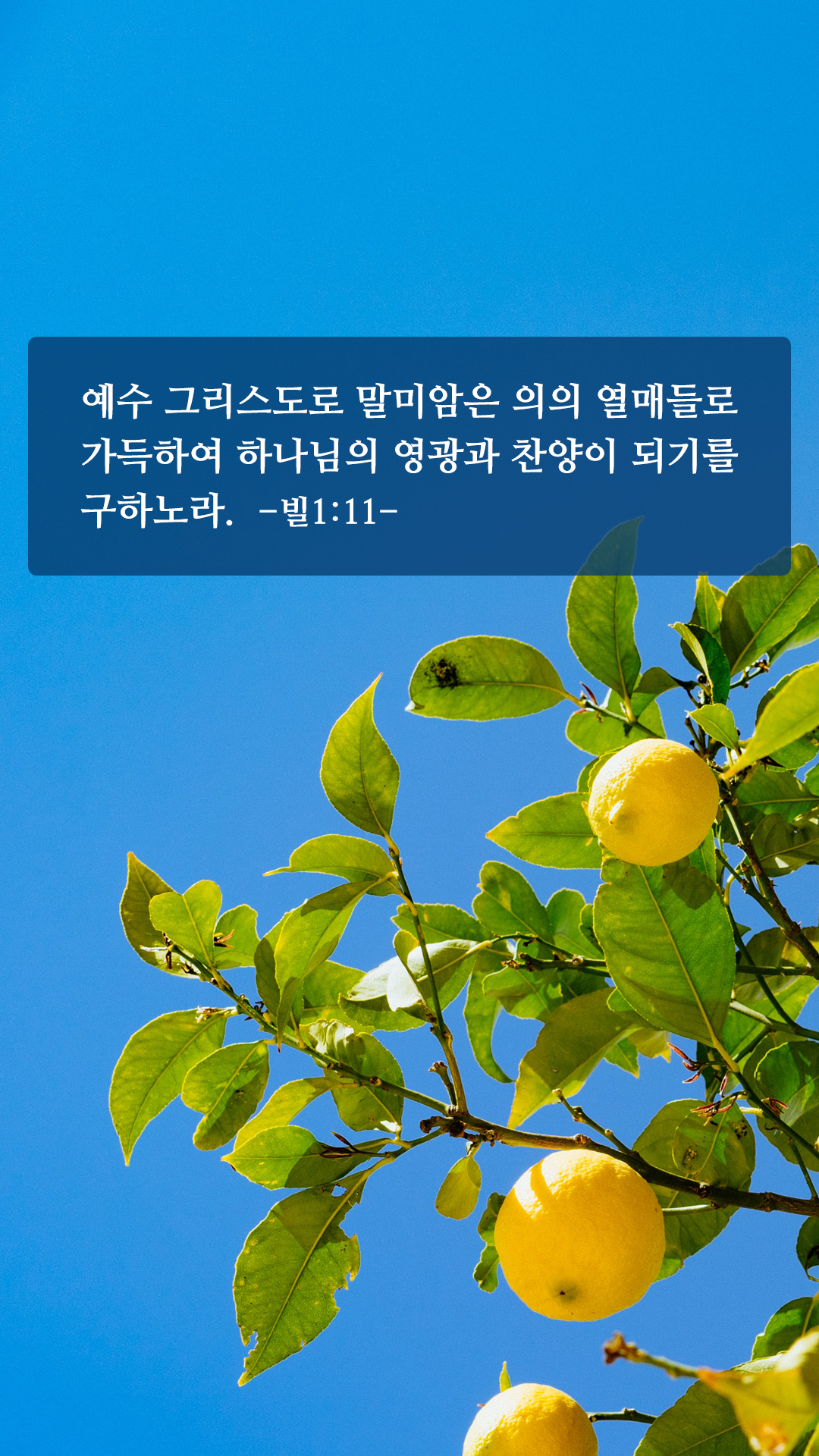 힘이 되는 짧은 성경구절 모음