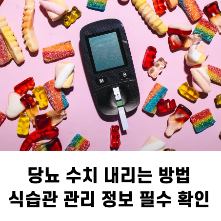 당뇨 수치 내리는 방법