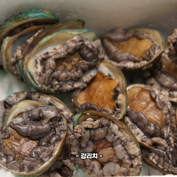 전복 손질하는 법