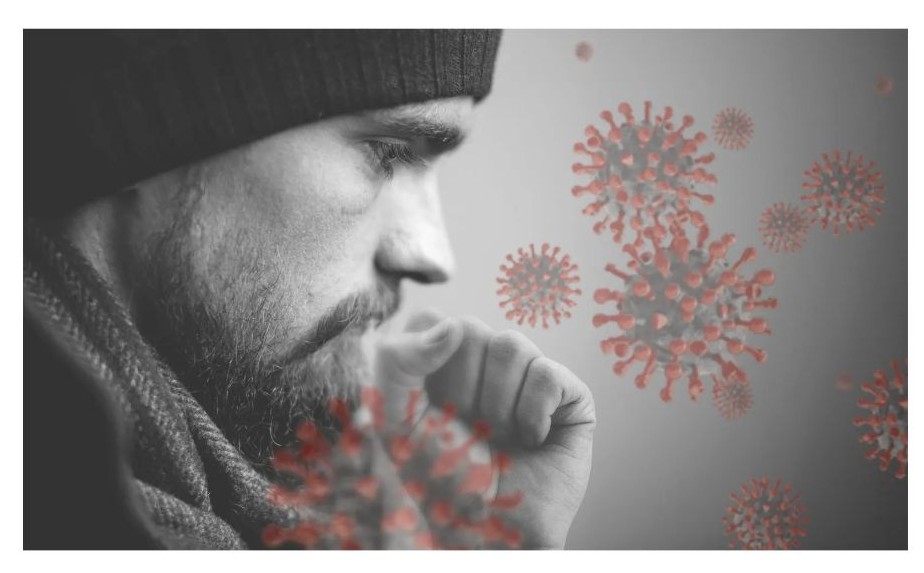 감기 바이러스 사진
