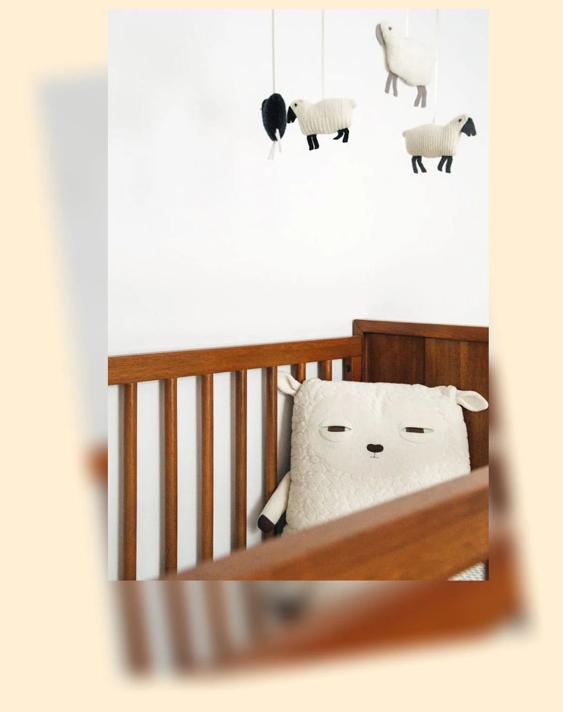 보육교사 자격증 취득_2_subsection