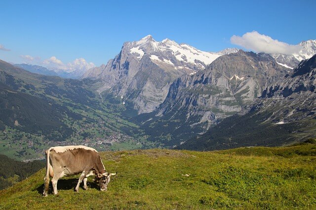 공복 유산소 운동