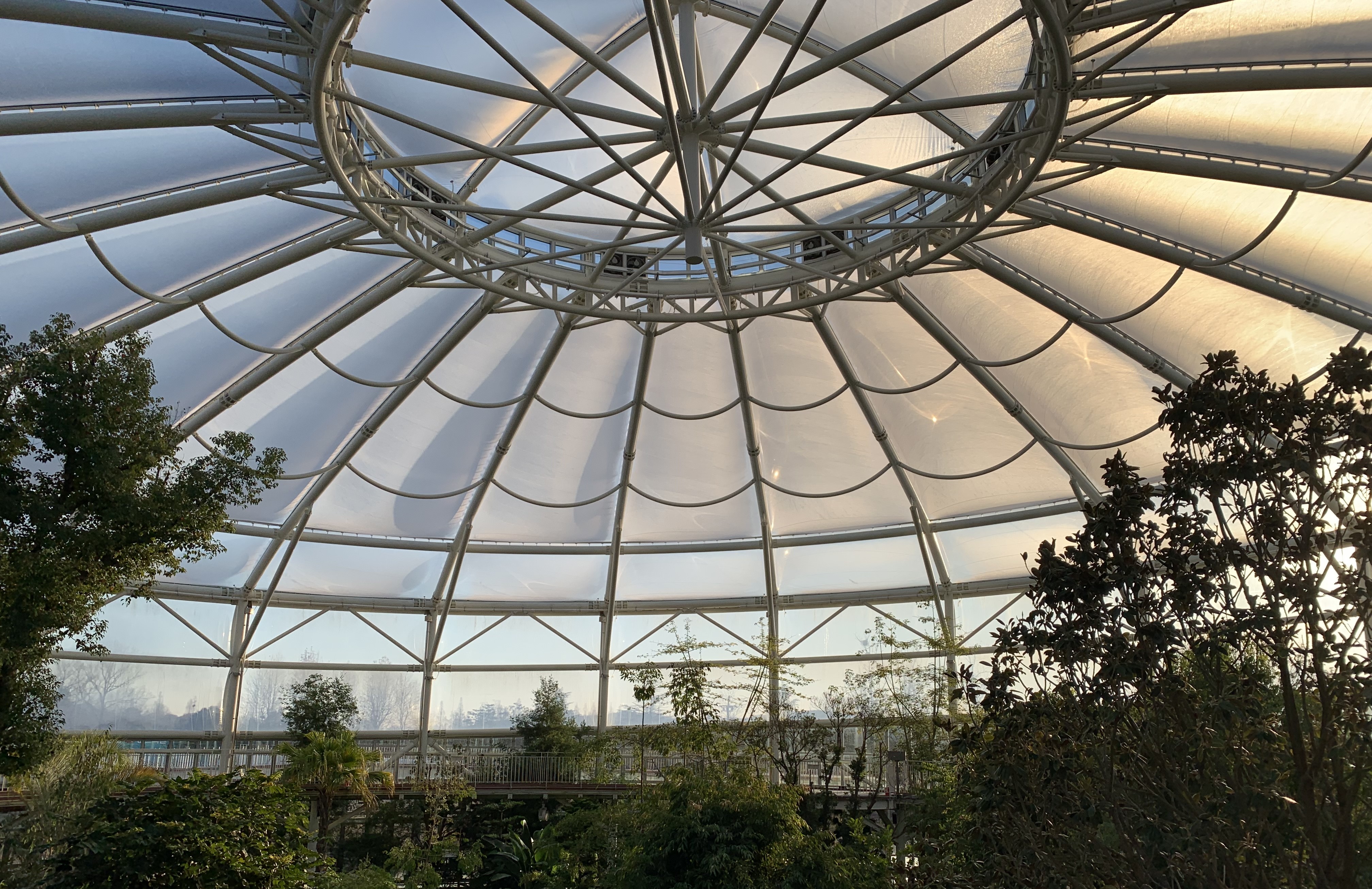 순천만국가정원 계절별 관람 꿀팁 완벽 정리