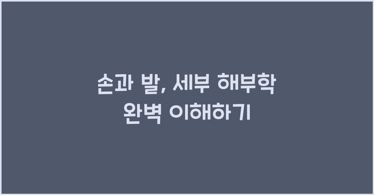 손과 발, 세부 해부학