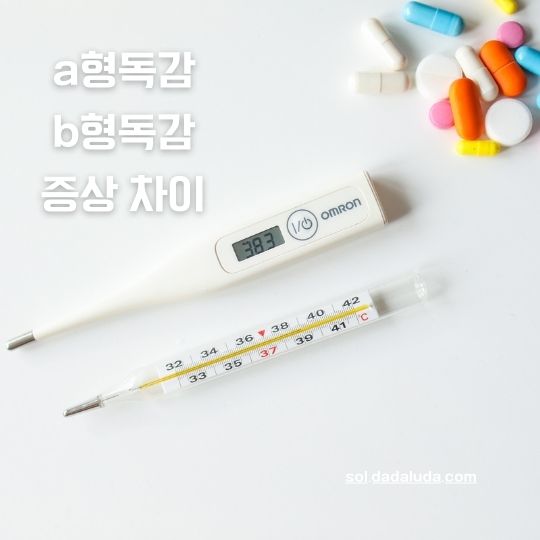 a형독감 b형독감 증상 차이 격리기간 