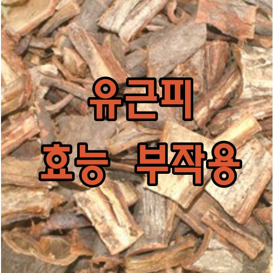 유근피 효능 부작용