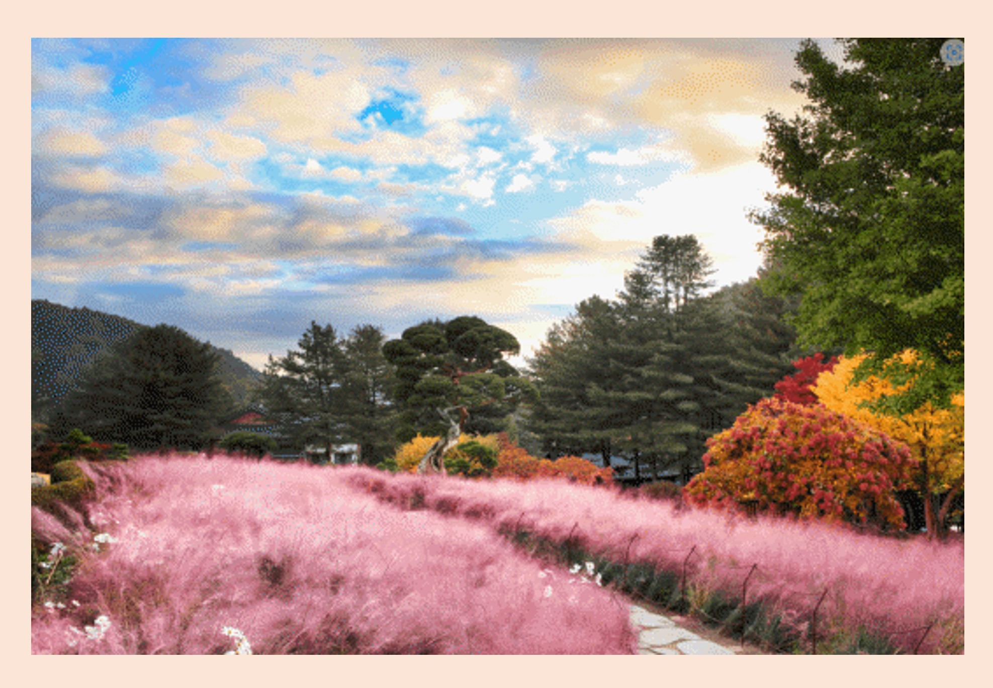 2024 서울근교 단풍명소-아침고요수목원