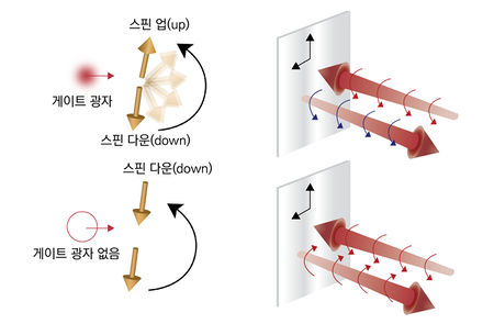 단일광자 스위치 및 트랜지스터 작동 원리