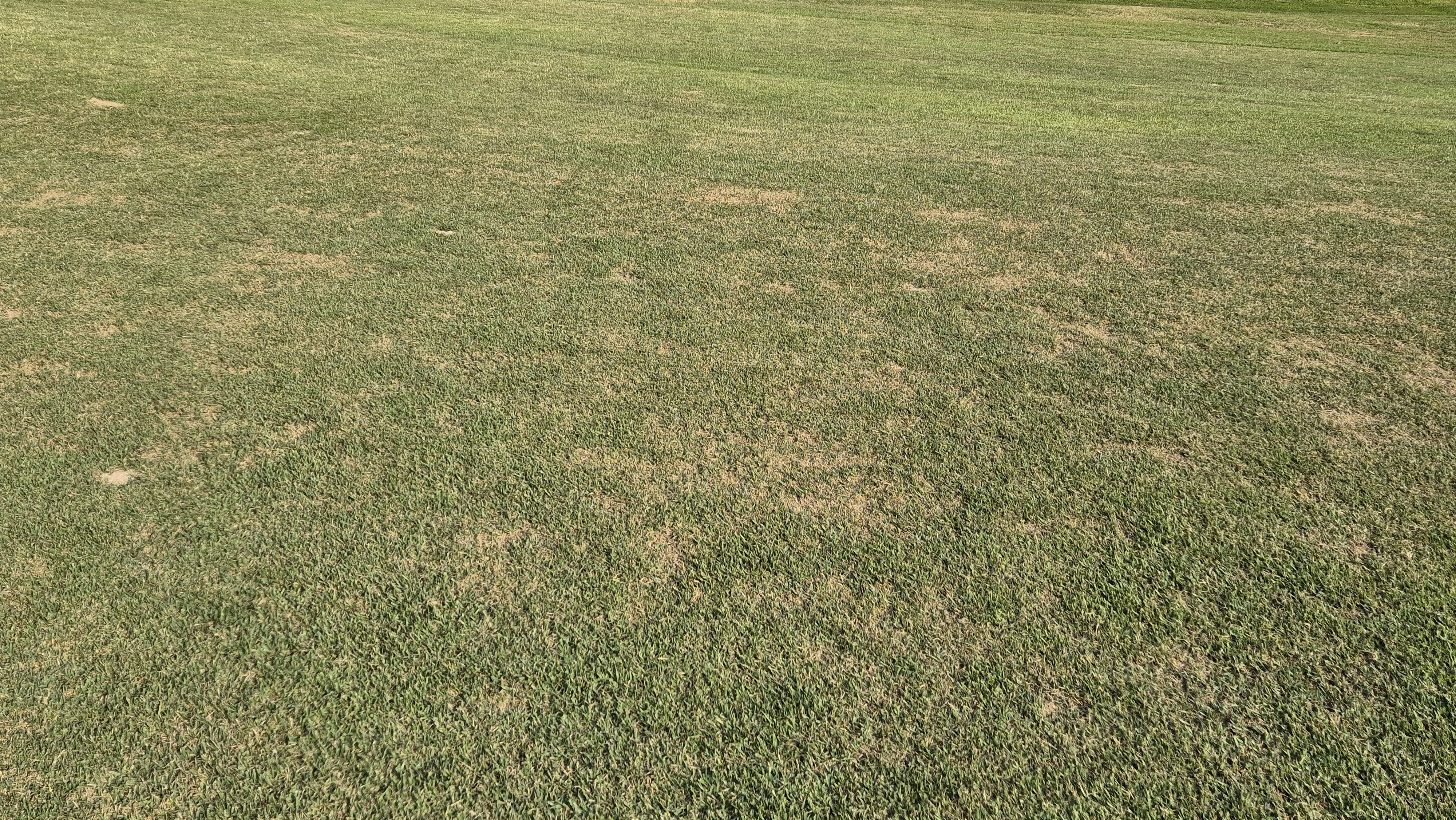 이포cc 라운드 후기