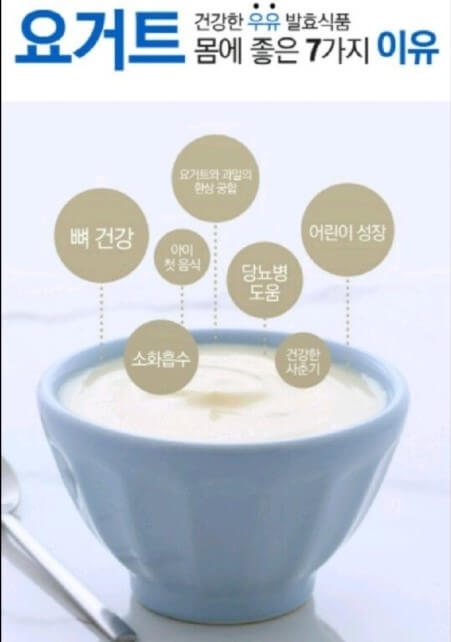 요거트는 건강에 좋다