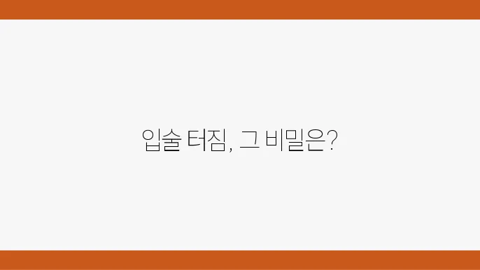 입술 관리 스프레이