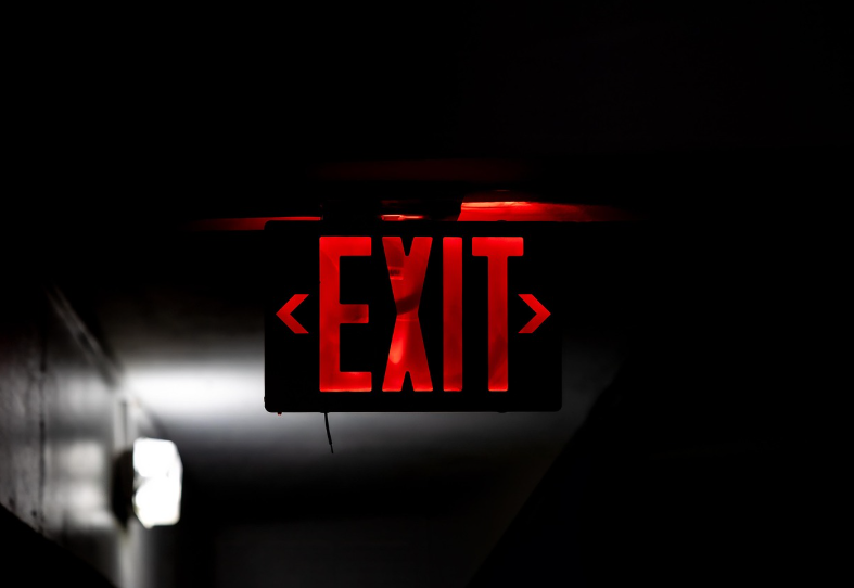 AI 시대의 ‘심리적 안전지대’: 아날로그 취미의 정서적 보호막