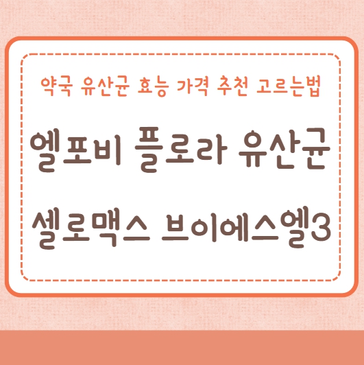 엘포비 플로라 셀로맥스 유산균 브이에스엘3