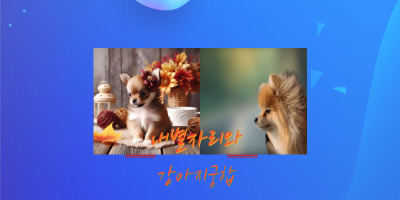 내 별자리랑 강아지궁합 재미로 보는