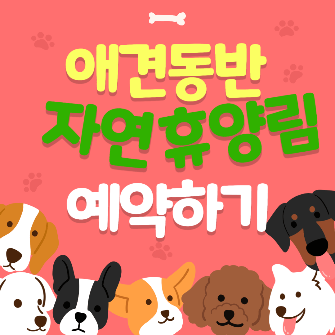 애견동반 자연휴양림 예약하기