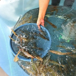 생방송 투데이 홍성 남당항대하축제 광천토굴새우젓 대축제 바비큐페스티벌