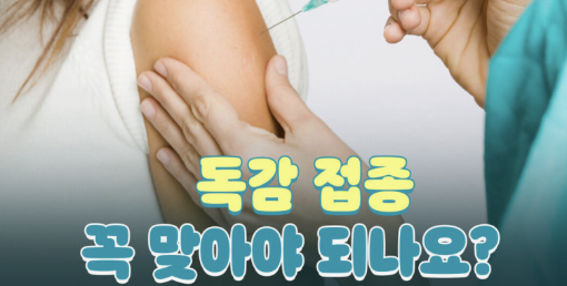 독감예방접종 무료대상날짜