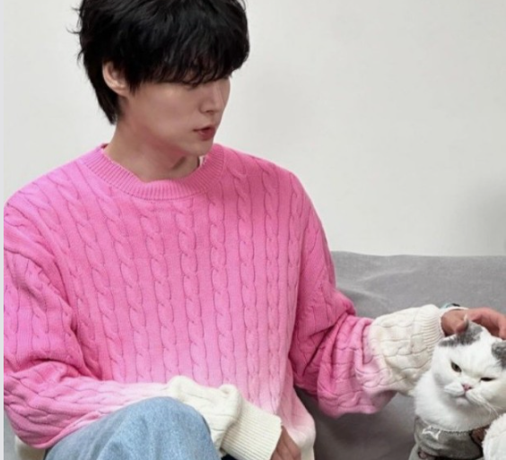 안재현과 그의 고양이