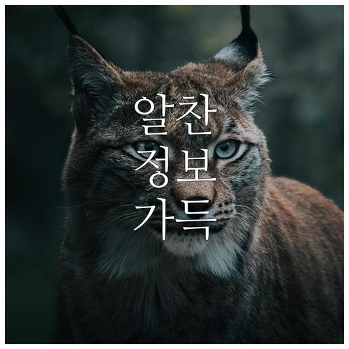 익산시 한방 난임부부 지원 2025 ..