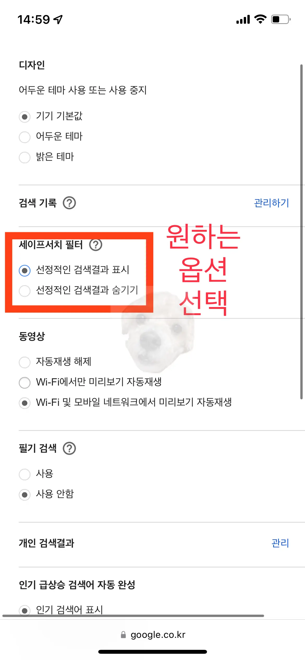 세이프서치 설정 해제를 위해 선정적인 검색결과 표시 선택하기