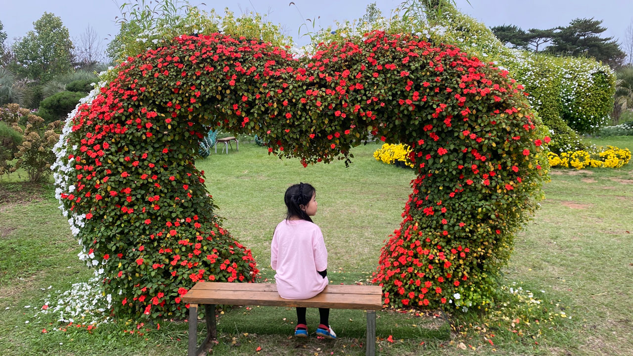 태안 가을꽃박람회에 포토스팟이 곳곳에 위치해있다.