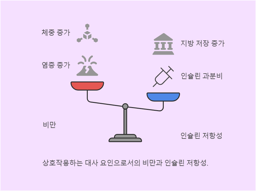 상호 작용하는 대사 요인으로서 비만과 인슐린 저항성 이미지
