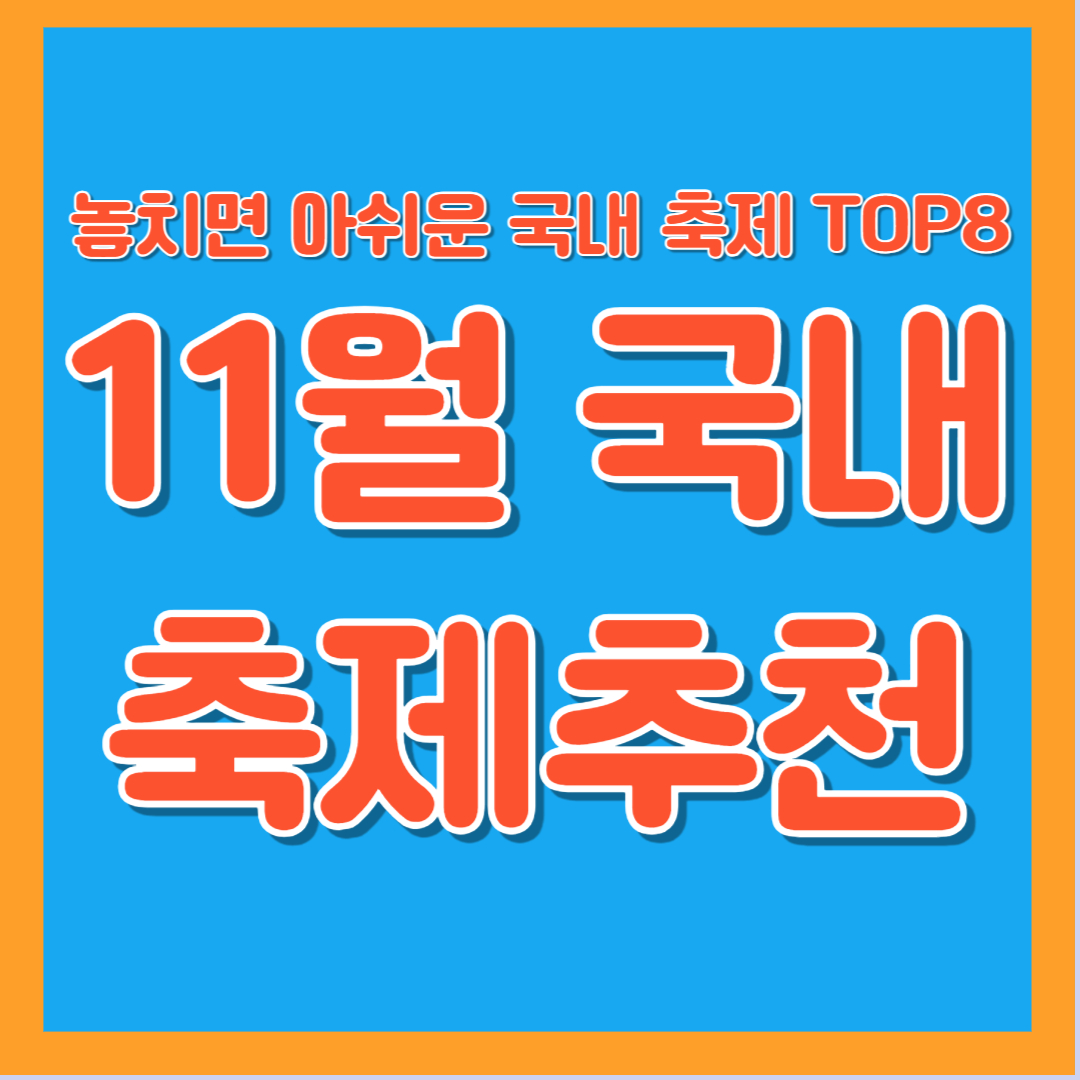 국내 축제 겨울 가을 11월 축제 추천 코스 일정 여행