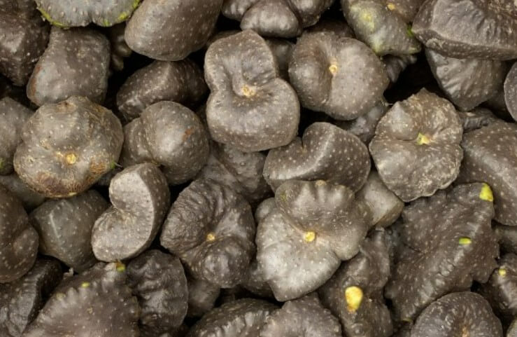 하늘마 효능 먹는 방법 심는 시기