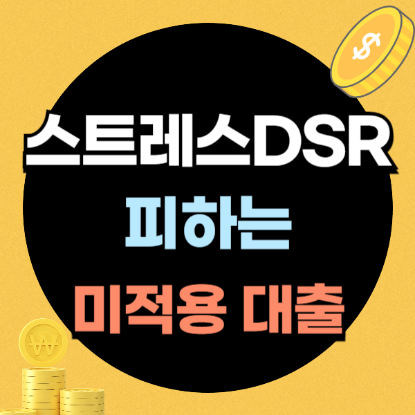dsr 미적용 대출
