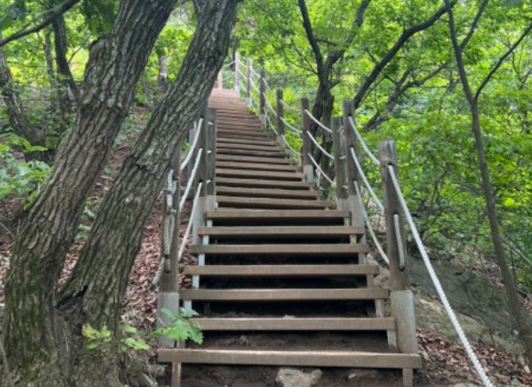 청계산 등산코스