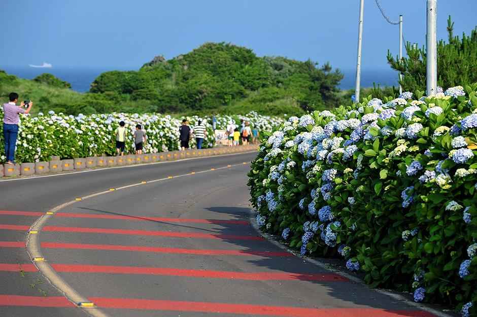 제주 종달리 해안도로