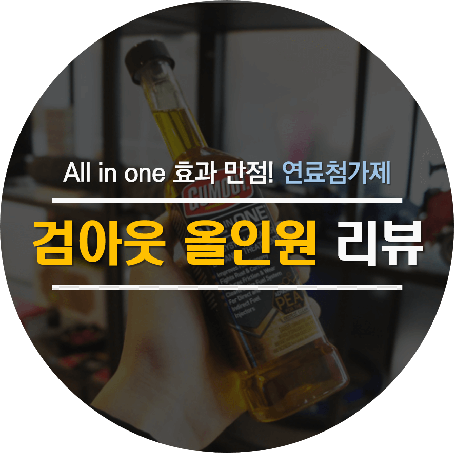 검아웃 가솔린 효과 후기