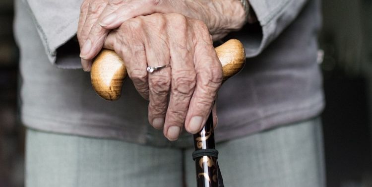 주름진 손으로 지팡이를 잡고 있는 노인의 손&amp;#44; 노년기의 관절 건강 상징