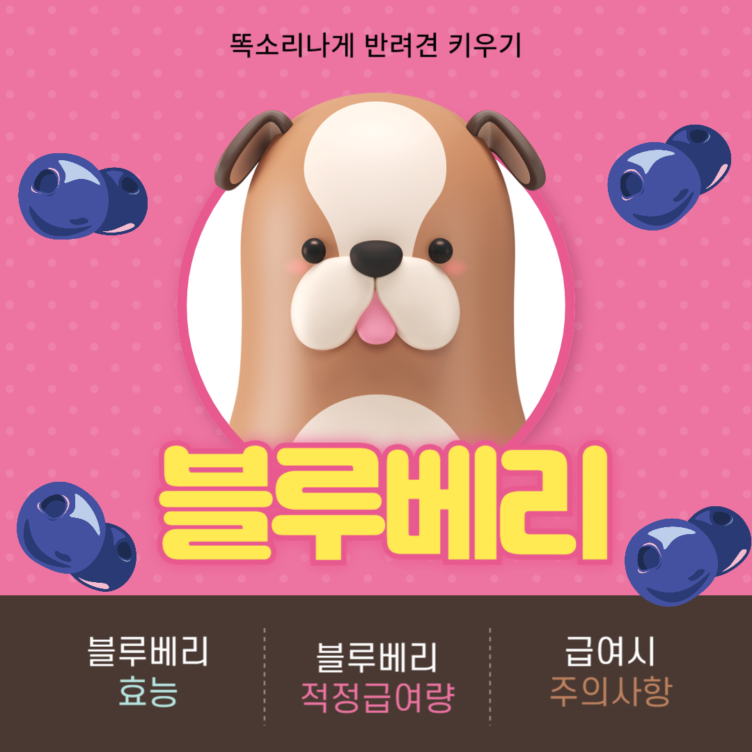 강아지 블루베리 먹어도 되나요 효능 급여량 유의사항