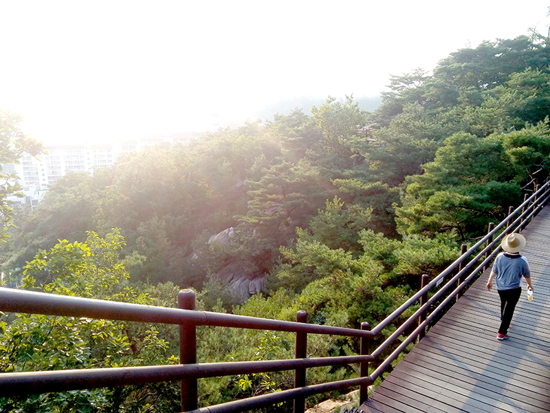 서울둘레길 8-1코스 북한산 구름정원길