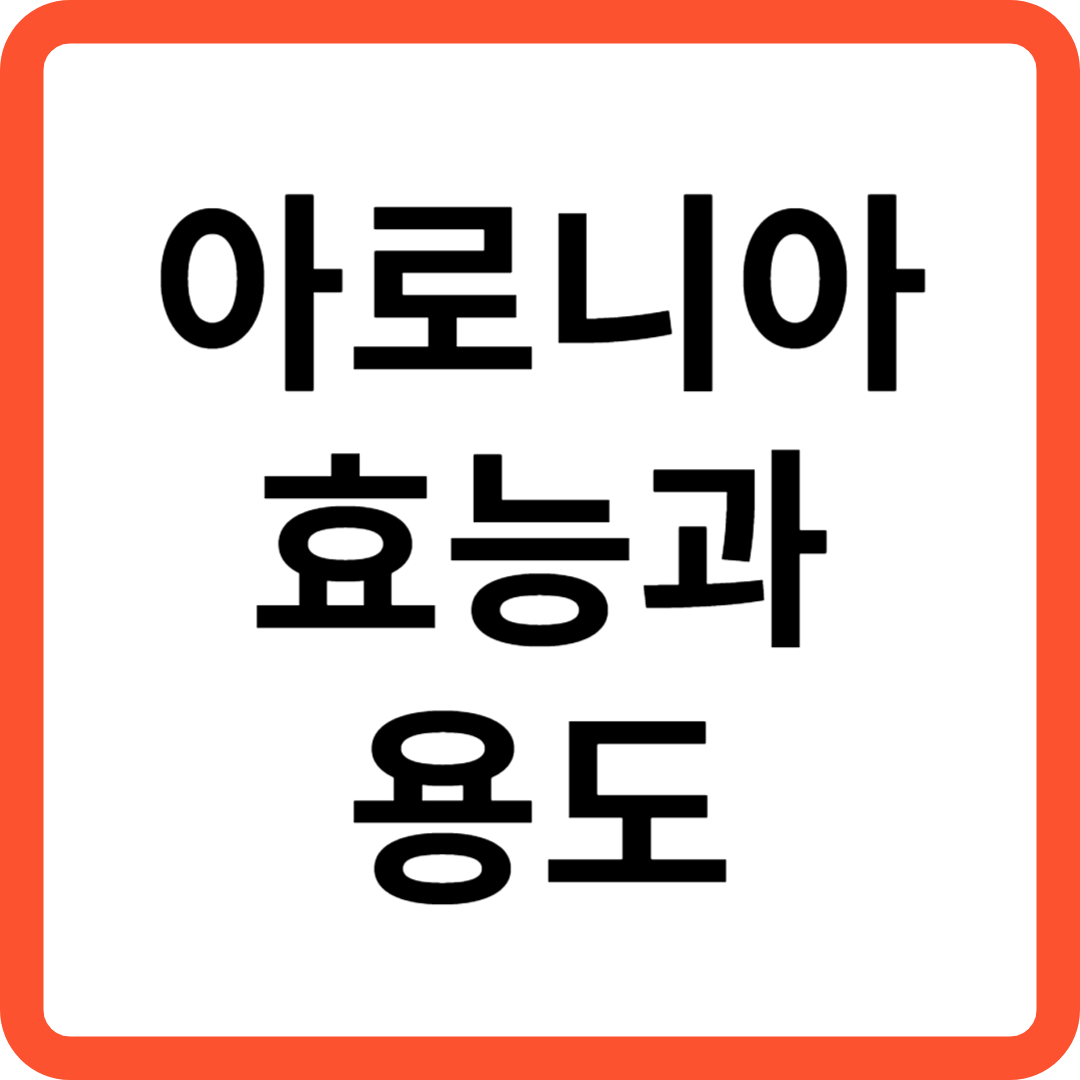 아로니아 효능과 용도