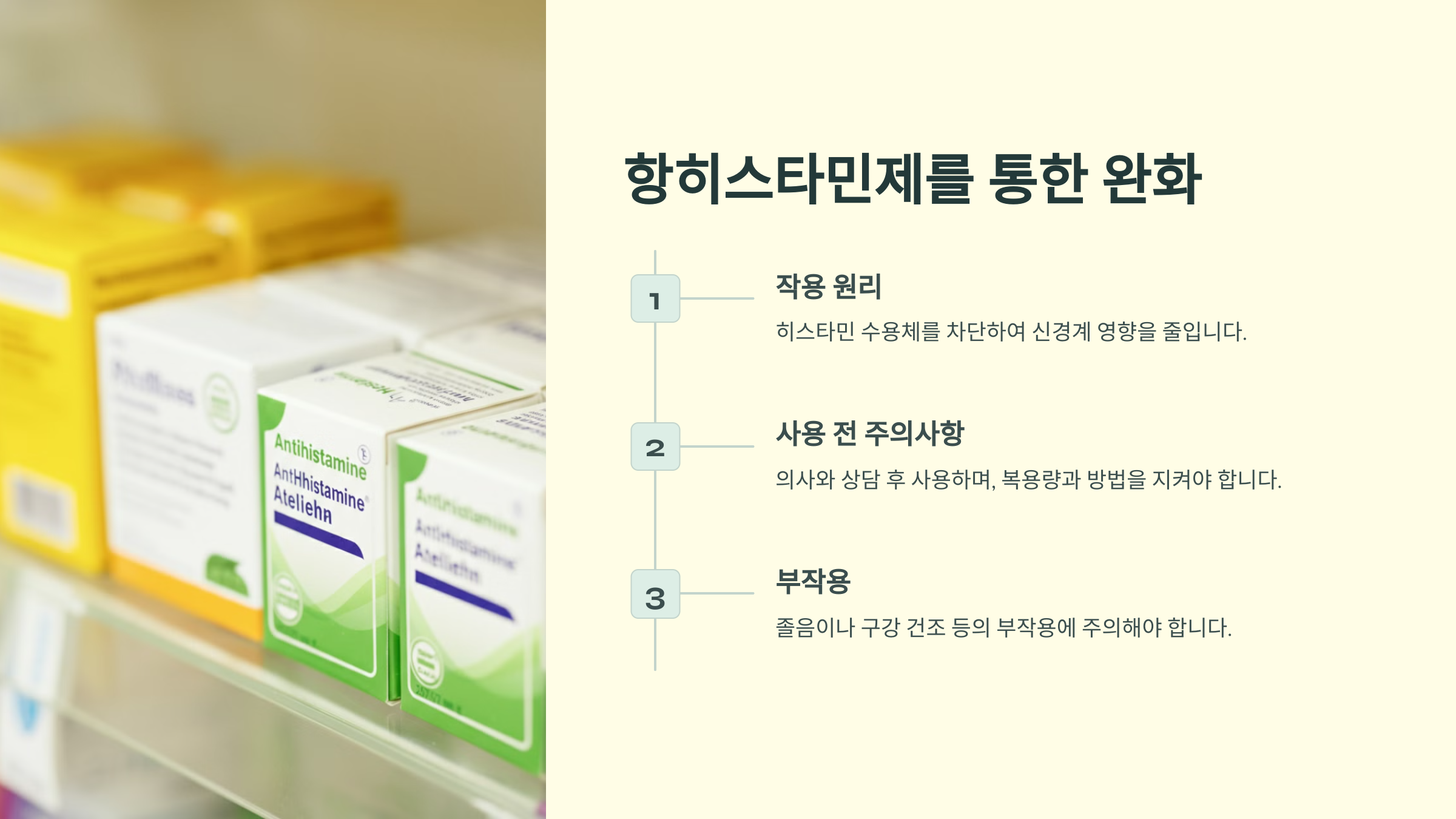 항히스타민제를 통한 완화