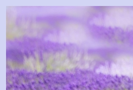 6월 국내 여행지 추천