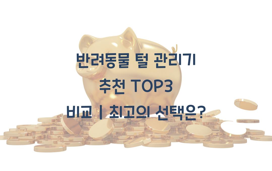 반려동물 털 관리기 추천 TOP3 비교