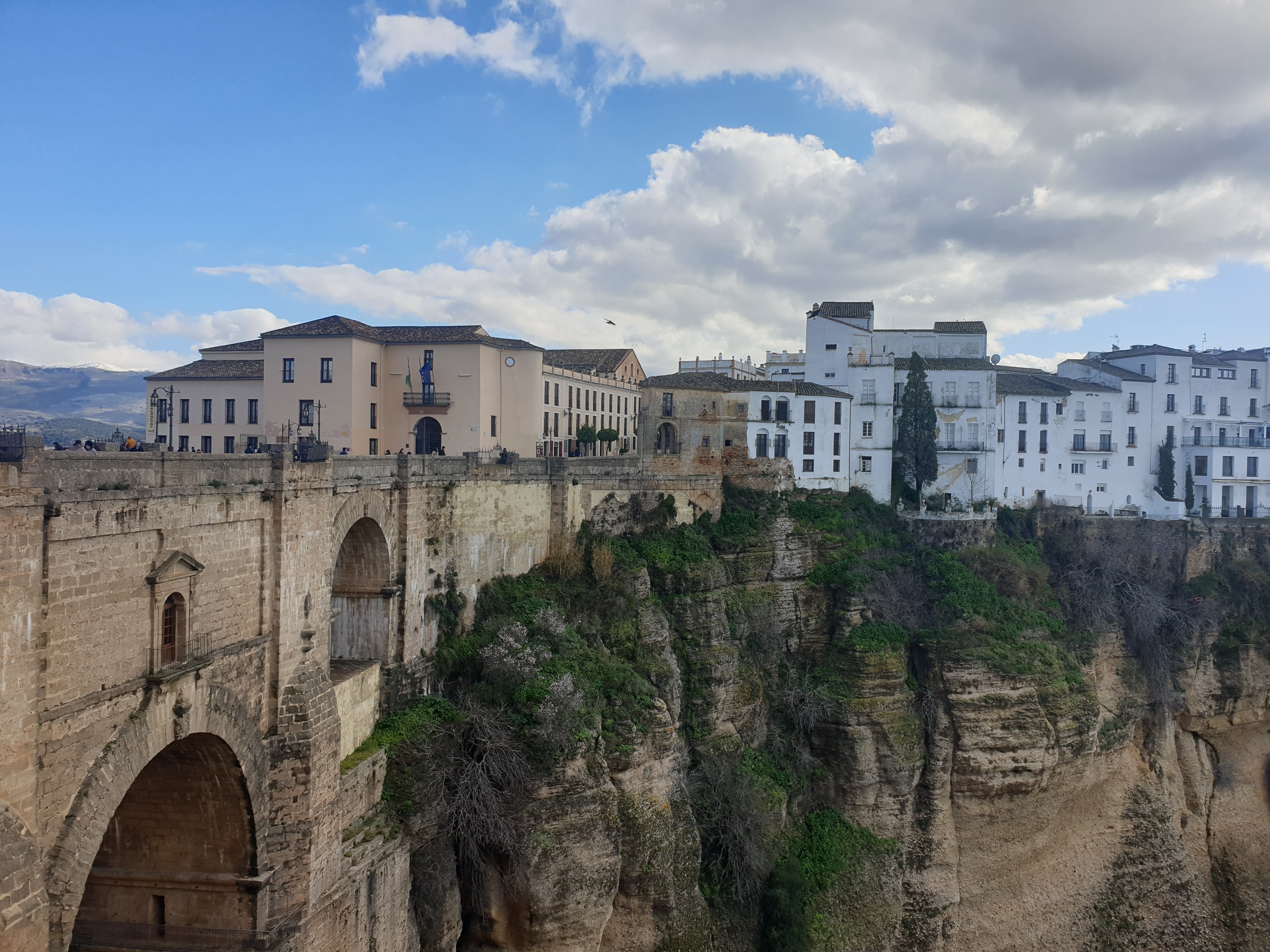 이미지-alt-태그-론다